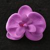 Materiais de Embalagem para Buquês Jemi, Suprimentos para Floristas, Embalagem Floral, Spray Corante à Base de Água, Tinta Spray, Spray para Flores