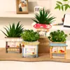 Ornamento Criativo Multifuncional para Jardim Doméstico, Decoração de Mesa, Vasos de Resina para Suculentas, Vasos Pequenos de Flores Feitos à Mão, Porta-Canetas de Armazenamento para Estudantes