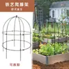 Ferro Retrô Criativo Gaiola de Pássaros Suporte de Flores Porta-Flores Decoração de Jardim Suporte de Treliça para Plantas Haste Gaiola de Pássaros Floral de Ferro
