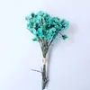 Flores Secas Transfronterizas, Gypsophila, Flores de Cristal, Mini Ramos, Ramos de Punta de Dedo Mezclados y Combinados, Cajas de Regalo, Decoraciones para Tarjetas de Felicitación