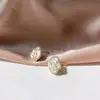 Pendientes de camelia negra de alta calidad estilo coreano con incrustaciones de diamantes, diseño de nicho, temperamento de moda, lujo ligero, accesorios para orejas de alta calidad
