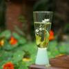 Taza de Degustación de Té Verde con Retorno de Primavera Vidrio Borosilicato Resistente al Calor Taza de Degustación de Té Taza Maestra Juego de Té Kung Fu para el Hogar Taza de Té
