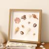 Marco de Fotos Estéreo Hecho a Mano Marco Hueco Estéreo para Espécimen Colección de Conchas Piedras Plantas Flores Secas Exhibición de Conservación Marco de Fotos