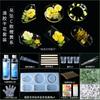 Planta seca flor coaster molde silicone abrasivo ferramenta em relevo cristal artesanal epóxi diy material resina AB cola caseira