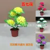 Ofrendas Florales de Cinco Fases para el Festival Qingming, Flores en Maceta, Bonsái, Flores Artificiales, Crisantemos, Flores Falsas, Juego Floral de Cinco-Siete Días para la Limpieza de Tumbas