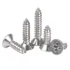 Tornillos Autorroscantes de Acero Inoxidable 304 Gb846 de Cabeza Avellanada Phillips St1-St2.9 Cabeza Plana