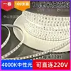 Tira de Luz LED Recubierta de Goma de Alto Voltaje 220V Sin Driver, 120 Luces, Autoadhesiva Resistente al Agua de Doble Fila, Sin Soldadura