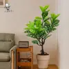Novo Produto Mais Vendido Transfronteiriço: Planta Verde Artificial Simulada com Pequenas Manchas e Rachaduras, Planta em Vaso Casco de Tartaruga para Decoração de Mesa em Casa