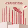 Lápiz labial delineador de labios transfronterizo femenino mate gancho lápiz de labios mate cameo Marrón rosa giratorio individual lindo lápiz de labial