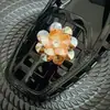 Acessórios de Flor de Sapato de Cristal Resistentes Estilo Coreano com Lantejoulas Bordadas, Franjas de Cristal Exquisite de Estilo Leve de Luxo