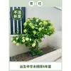 Plántulas de Hortensia de Madera China Cubo de Plantación para Exteriores Bola de Arpillera Semillas de Flores Patio Casa Montón Viejo de Madera Plantas en Maceta