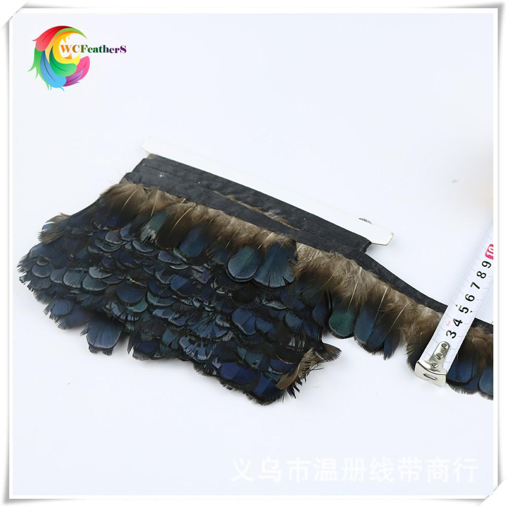 peacock feather trims 3-6