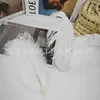 Venta Directa de Fábrica Plumas de Avestruz 15-75cm Día del Maestro Escenario Blanco Bodas Decoración DIY Venta al por Mayor