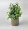 Miniplantas verdes en maceta de estilo nórdico para decoración del hogar, de escritorio, muy vendidas en Amazon.