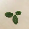 Hojas de rosa de tres puntas de seda artificial pantalla de seda hojas verdes arreglo floral de boda hojas falsas decorativas hoja única Venta al por mayor