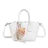 Bolso Cruzado de Hombro Único Estilo Nuevo 2026 para Mujer de Diseño de Nicho, Bolso de Mano de Alta Gama, Bolso Cruzado de Hombro de Moda para Viajes de Mujer