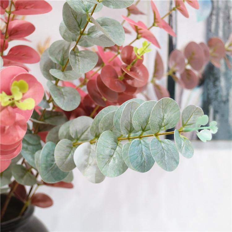 IMG_0908_副本.jpg