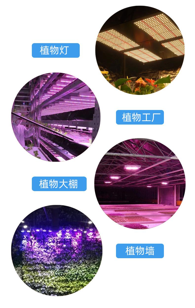 植物图