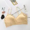 Sudeste Asiático Transfronterizo Chaleco Tirante Venta al por Mayor Ropa Interior Sin Costuras Ropa Interior para Mujer Correa para el Pecho Almohadilla para el Pecho Ropa Exterior Top Corto de Tubo