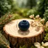 Paisaje en Miniatura 3D Fruta Arándano Mangostán Juguete de Comida Creativo Colgante Llavero Lindo Accesorios para Joyería DIY