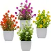 Eucalipto Camélia Planta Verde Simulada em Vaso Enfeites de Mesa em Vaso Flores Simuladas Flores Artificiais Plantas Verdes Vasos de Plástico Bonsai