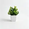 Plantas Verdes Artificiais Mais Vendidas na Amazon Transfronteiriça, Plantas em Vasos Brancos, Plantas Verdes Falsas para Decoração Interna e Externa, Plantas em Vasos Pequenos de Eucalipto de Plástico