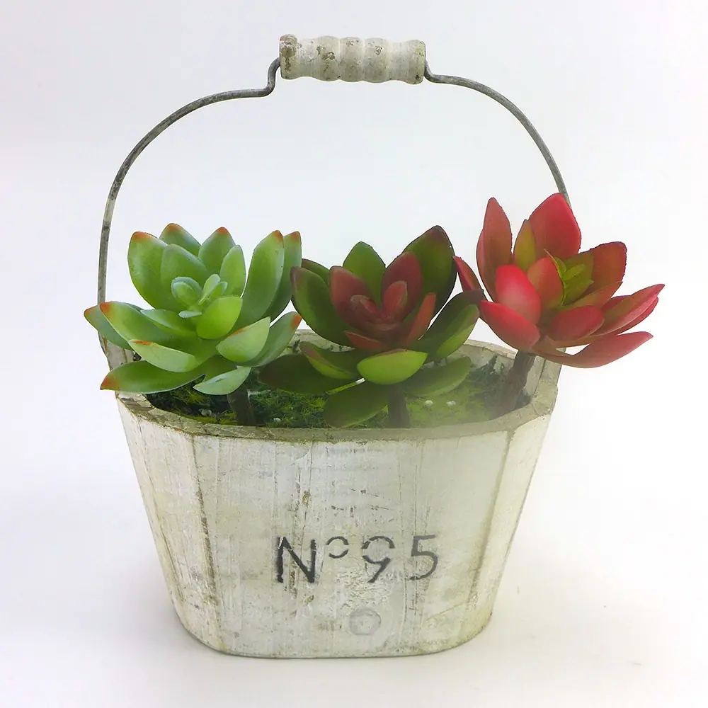 新迷你莲花4.jpg