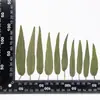 Paquete de Material para Repujado de Flores Secas DIY Repujado Niños Pegamento Hecho a Mano Hojas de Flores Reales Etiqueta de Planta Decoración de Material de Repujado