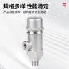 Fabricantes de válvulas de seguridad A21H-250P de acero inoxidable suministran válvula de seguridad con rosca exterior válvula de seguridad de acero inoxidable 304