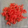 Venta al por mayor de Nuevo Gusano de Pan Transfronterizo Señuelo Suave 2cm Señuelo, Señuelo de Imitación de Gusano y Gusano de Cebo
