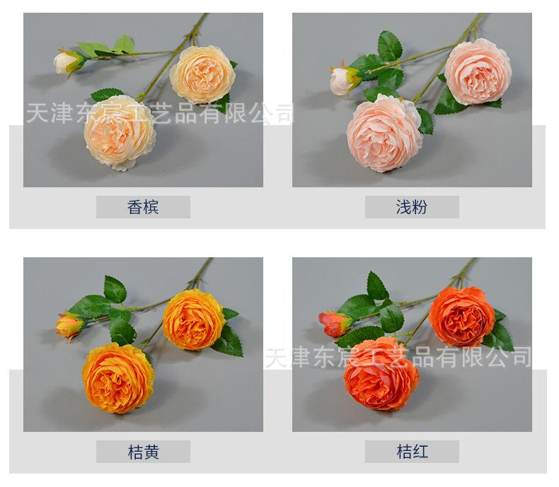 详情_04.jpg