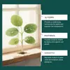 Gotas Enraizadoras Moonspr para Plantas, Gotas Universales para Riego y Fertilización para Plantas, Frutas, Verduras, Jardinería, Flores en Maceta