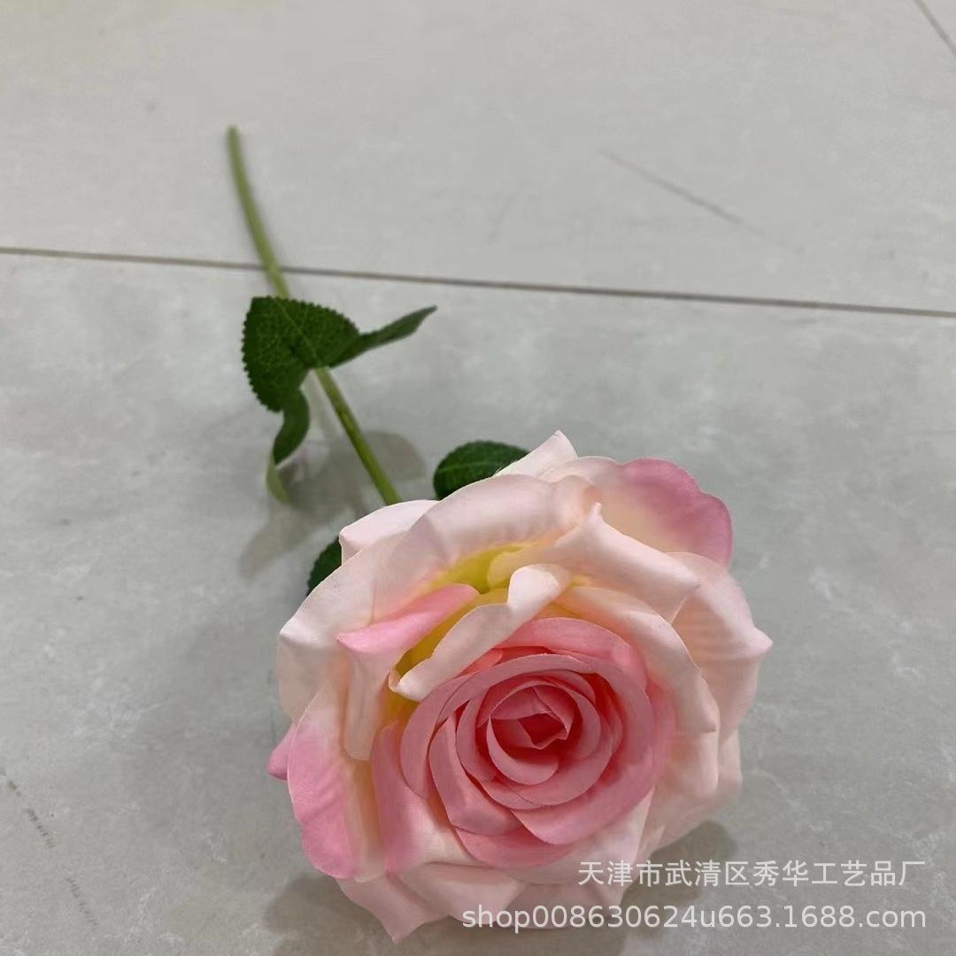 单支玫瑰粉色