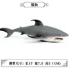 Modelos Realistas de Animales Marinos Transfronterizos: Tiburón Azul, Megalodón, Tiburón Ballena Gris, Tiburón Blanco, Tiburones Martillo Juguetes