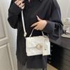 Moda Verano 2026 Estilo de Nicho Sofisticado y Moderno Bolso de Hombro Cruzado con Cadena Mini Versátil para el Trabajo