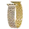 Adecuado para Correa de Apple Watch, Correa de Metal con Cinco Perlas Completamente Diamantada Iwatch11-1 Correa Representativa