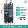Interruptor de Circuito Tianzheng Tgm1N-250L 3300 Caja de Plástico Interruptor de Circuito 3P Trifásico 3200 con Disparo 160A200A250A