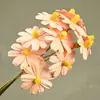 Arreglo Premium de Flores Preservadas para Sala de Estar con Semillas de Melón, 10 Flores/Ramo, Materiales Florales Frescos y Sencillos