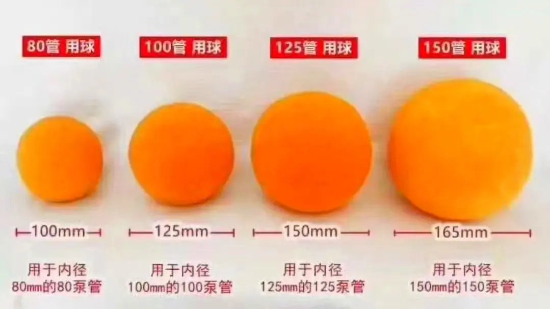 QQ图片20240919172611