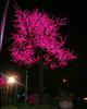 Fabricantes de origen Lámpara de árbol luminoso de simulación de hoja de Ginkgo LED de 6 metros Lámpara de árbol luminoso Árbol de cerezo LED Ganancias pequeñas pero rotación rápida