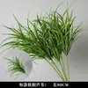 Plantas Verdes, Hierba de Junco, Hierba Bigote de Dragón, Fondo de Boda, Paisajismo de Ventana Floral, Flores Decorativas para Boda en Bosque Blanco y Verde