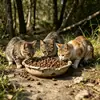 Comida para gatos al por mayor, precio completo, para gatos adultos y jóvenes, para criaderos generales, 20 libras, 20 kg, lote grande, carne fresca, alimento básico para gatos domésticos.