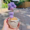 Plantas Pequeñas Suculentas Tejidas a Crochet de Lana Hechas a Mano, Lindos Adornos de Escritorio Simulados de Suculentas Que Nunca Se Marchitarán