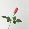 Buquê de Rosas Artificiais Único Hidratante Rosa Noiva Portátil Feltro Manual Flor Artificial Decorativa Fotografia de Casamento