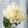 Flores Artificiais de Crisântemo Grandes Acolchoadas com Agulhas, Flores Simuladas para Decoração de Casamento, Arranjos Florais e Peças Decorativas