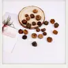 Pendientes de Planta Fruta Bellota Hechos a Mano DIY Fruta Pendientes Personalizados Creativos Material Chica Linda Pendientes Retro