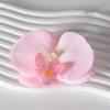 Pétalas da cabeça da flor Phalaenopsis acessórios de flor material de flor grampo de cabelo feito à mão diy decoração de adereço de cabeça material de flor
