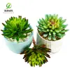Simulación planta suculenta súper grande tamaño pequeño suculenta bonsái planta verde flor de plástico en maceta micro paisaje con pared vegetal