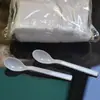 Cuchara desechable envuelta individualmente cuchara para pudín cuchara pequeña de plástico cuchara para helado