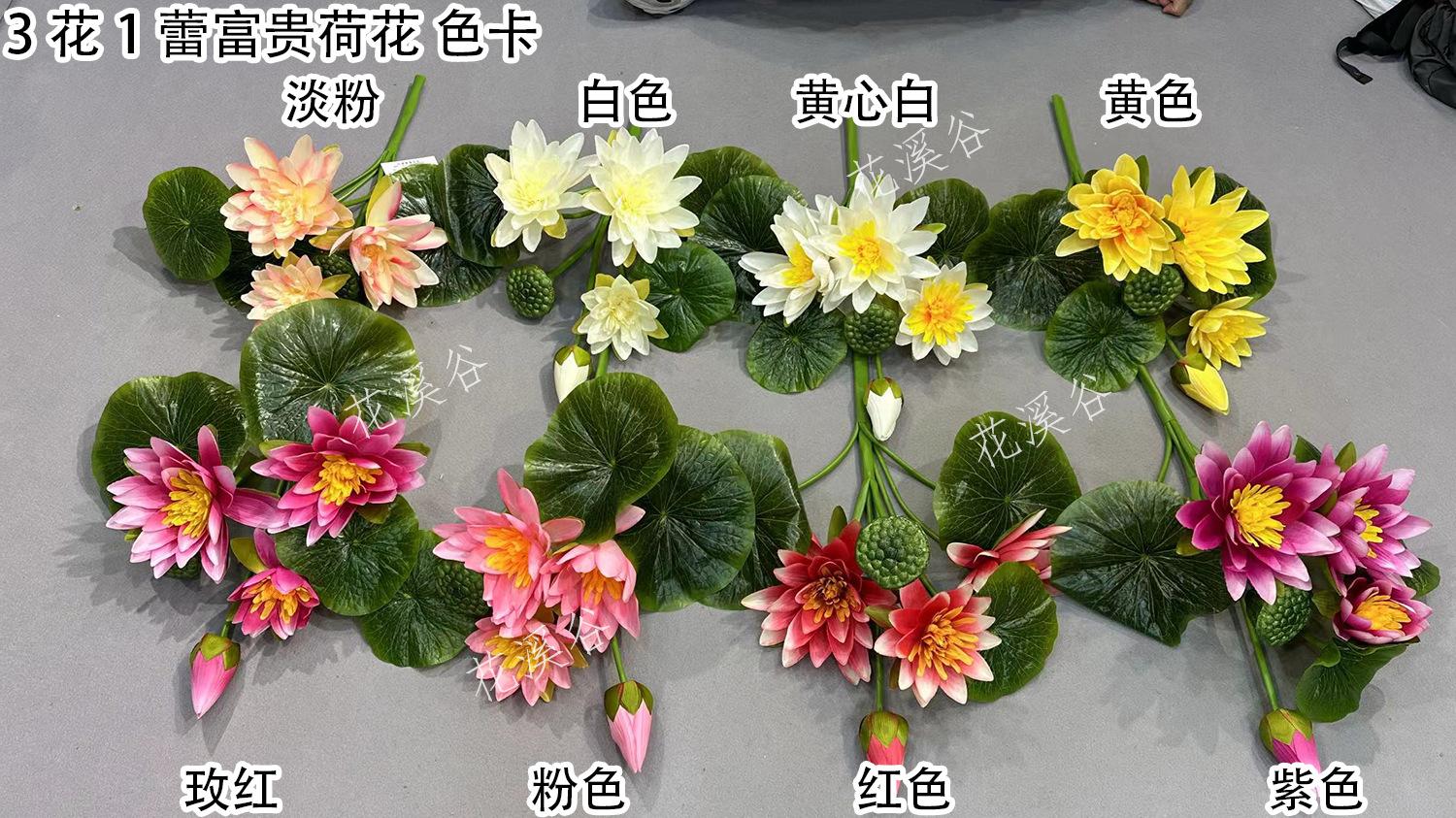 3花1蕾富贵荷花 色卡 花溪谷.jpg